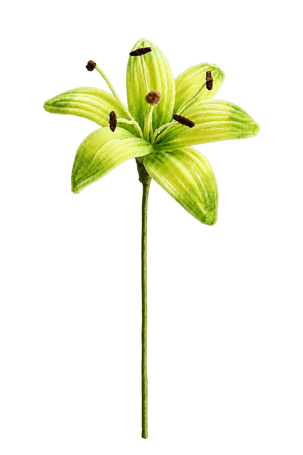 Light-green big tulip, a handmade pipe-cleaner flower